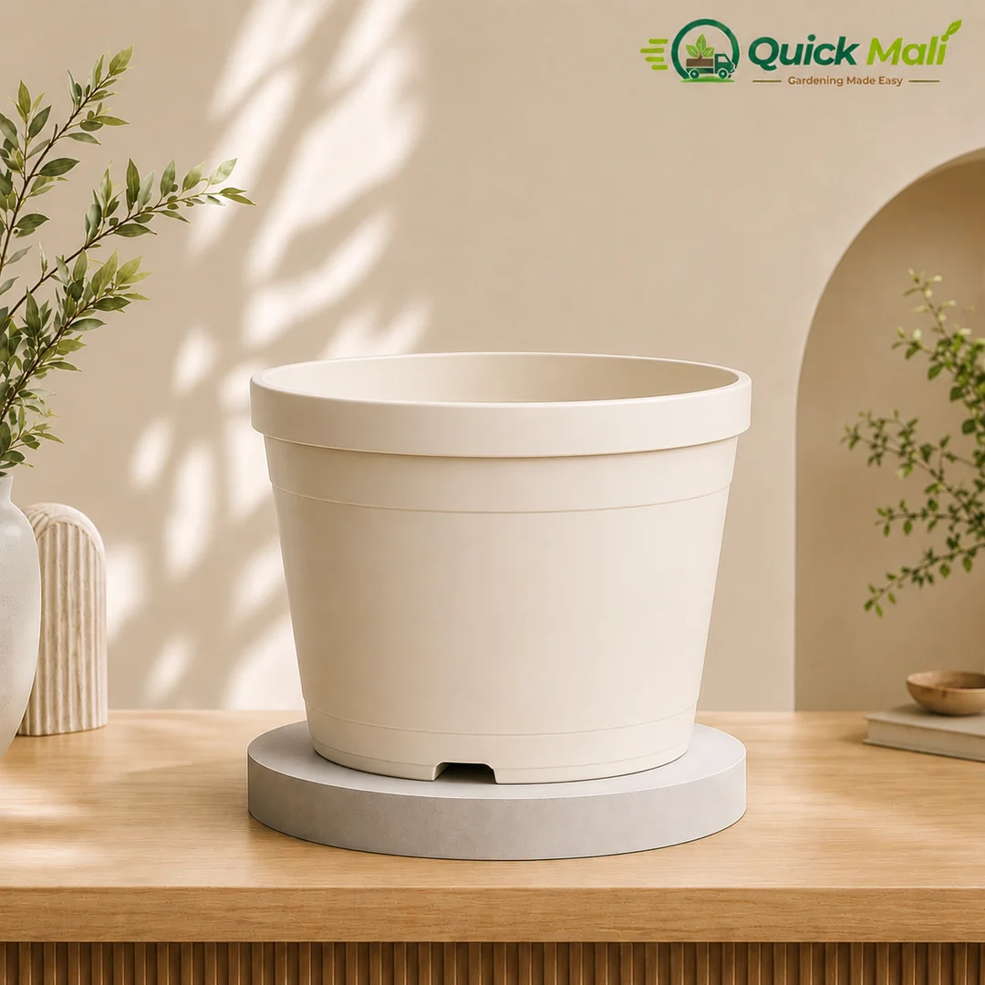 12 Inch Premium Planter