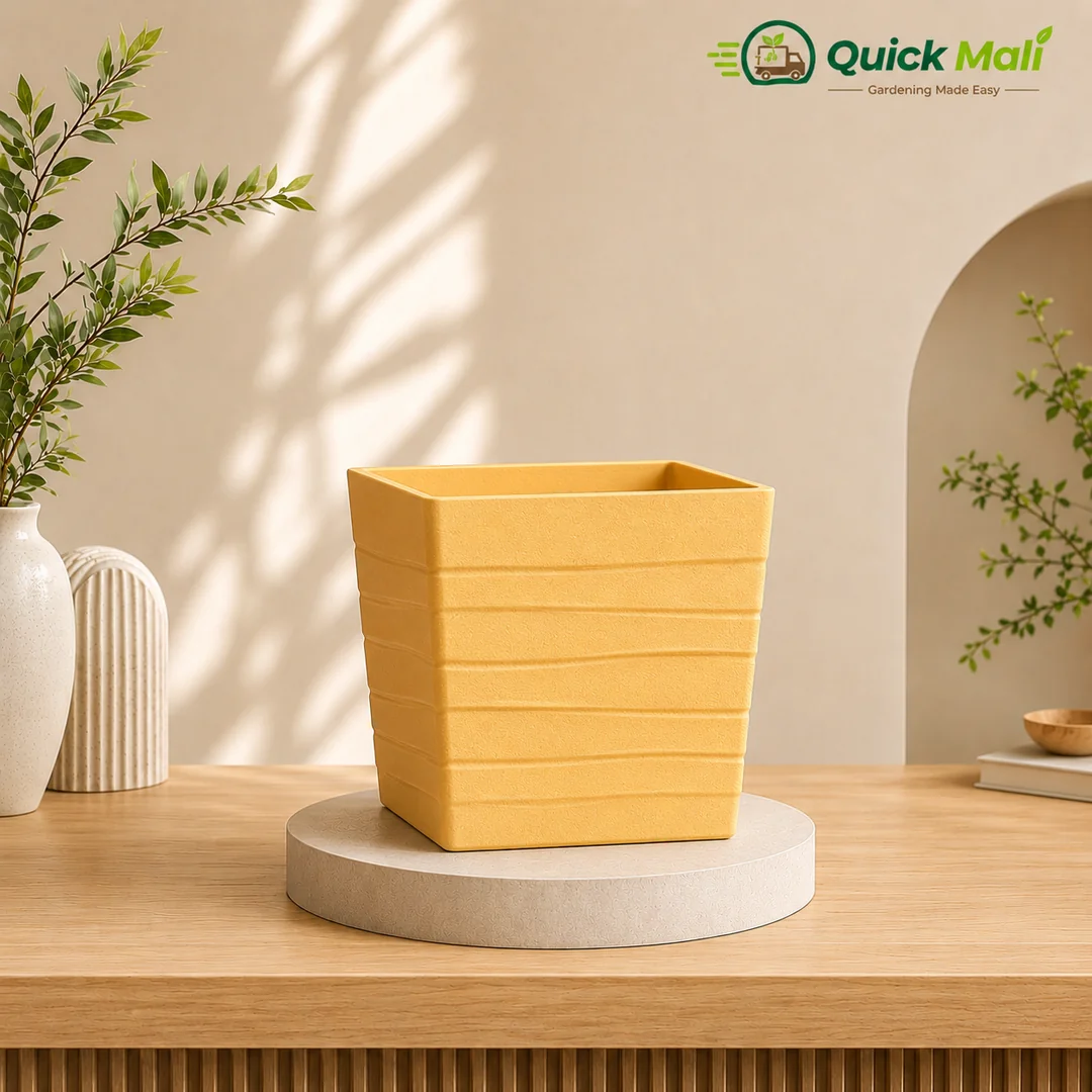 8 Inch Square Yellow Pot