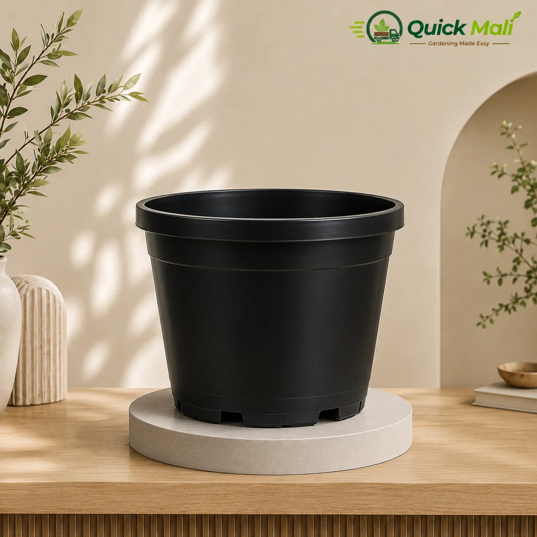 Black Nursery Pot