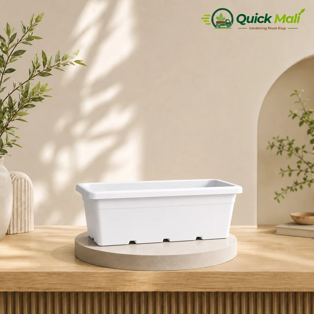 Rectangle Pots