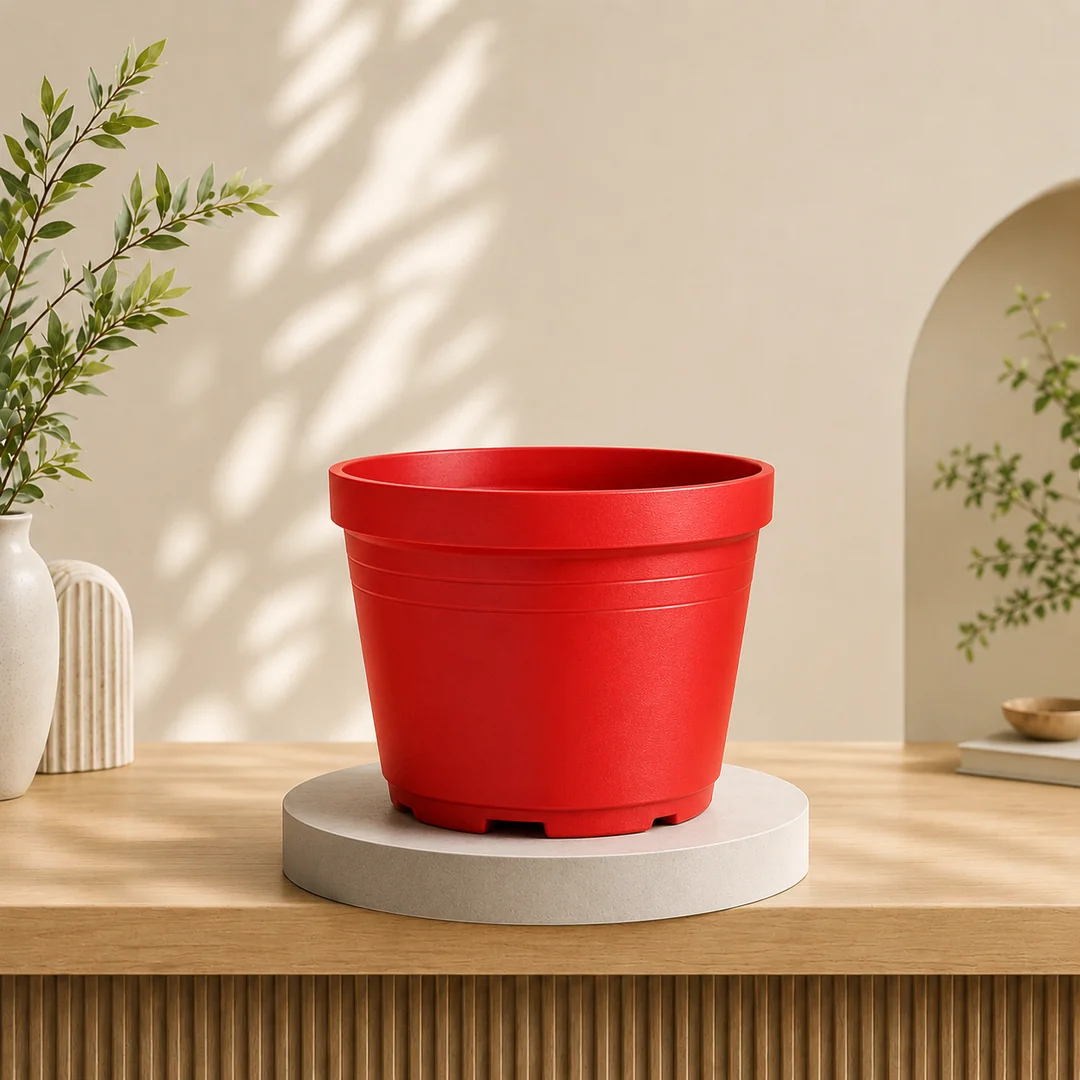 Set of 6 (6 inch pots)
