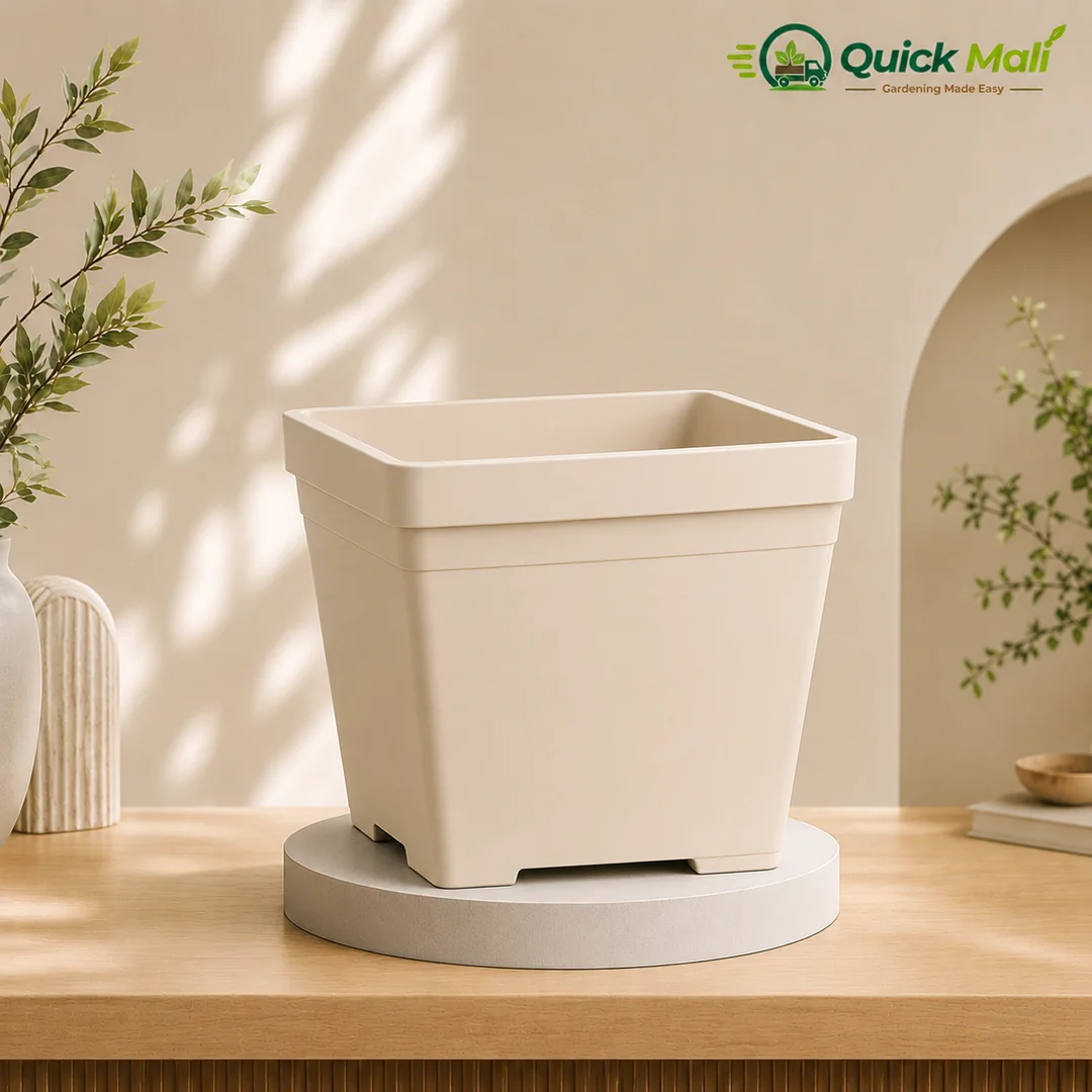 Square Plastic Pot